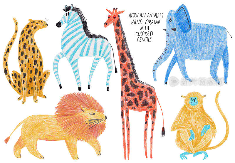 Set Of Isolated African Animal illustrations.
